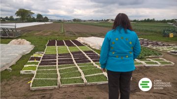 Gedankenfutter: Für eine Reform der Gemeinsamen Europäischen Agrarpolitik
