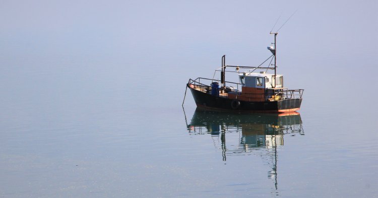 Die Lizenz zum Fischen - Ein Showdown vor Jersey