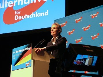 Pourquoi l'entrée de l'AfD au Bundestag était inévitable