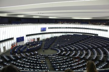 Kandidaten für die Wahl des Parlamentspräsidenten, Teil II: Laurențiu Rebega und Martin Sonneborn
