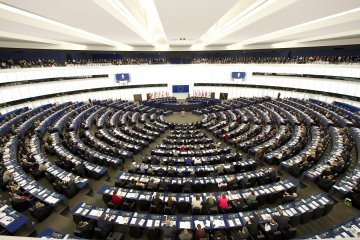 Europawahlen - Hoffnung auf eine transnationale Demokratie ?