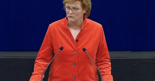 Pour lutter contre la fraude, des outils existent. Il faut s'en servir ! L'alerte des députés européens