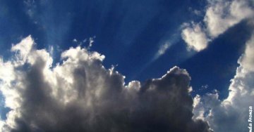 Politique(s) : le révélateur allemand et bien davantage (2/2)