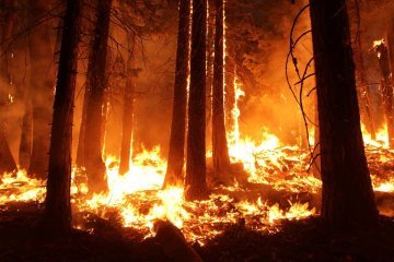 La prévention des risques naturels, l'angle mort de l'action européenne