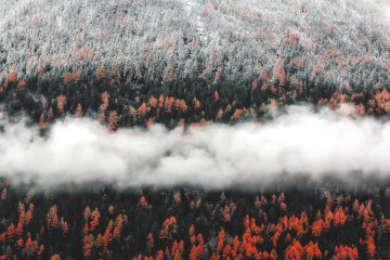 L'éveil climatique de l'Australie, en pleines négociations avec l'Union européenne, aura-t-il lieu ? 