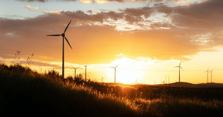 Energías renovables: ¿solución o nueva amenaza?