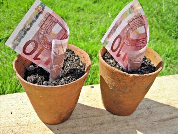 Alcune parole sull'Euro