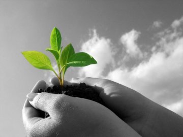Lithium – European Energy Security Recharged 
