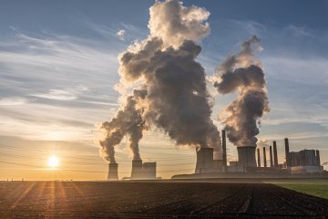 Kohlenstoffspeicherung: Scheinlösung oder Schlüssel zum Erreichen der Klimaziele?