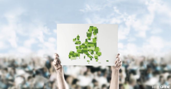 Europäische Urwahlen: Ein Vorstoß zur Demokratisierung der EU?