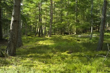 La construction du réseau Natura 2000 à l'épreuve du terrain