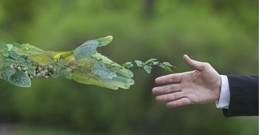 Vers une évolution de notre système économique ?