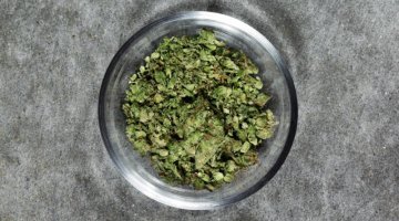 Cannabis : à quand une réglementation européenne ? 