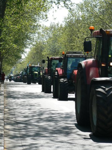 Come l'Estrema Destra di tutta Europa sta cavalcando il malcontento degli agricoltori