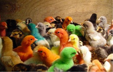 En quoi le financement de l'UE pour la culture devrait-il être maintenu, et même accru ?