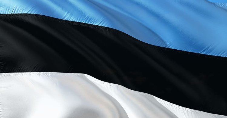 « Sinimustvalge » : histoire du drapeau de l'Estonie