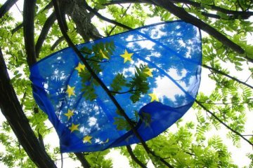 The EU & the green battle 