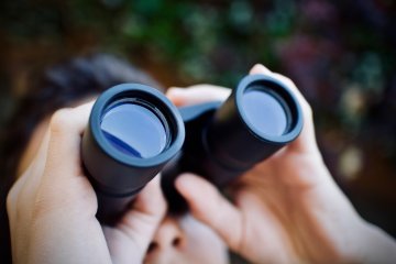 Für eine transparente Politik 