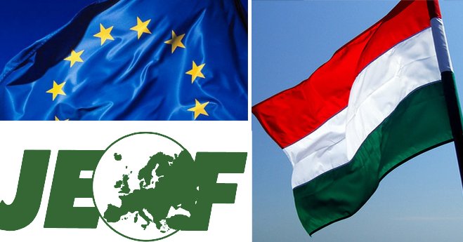 Ungarn (1): Warum die JEF für Demokratie und Rechtsstaatlichkeit demonstrieren geht.