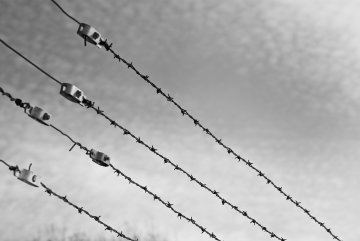 Antysemityzm w Auschwitz : Europa (znów) nad przepaścią