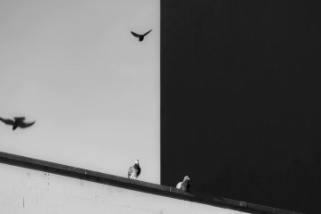 Rückblick Juni : Von Visionen und Dystopien