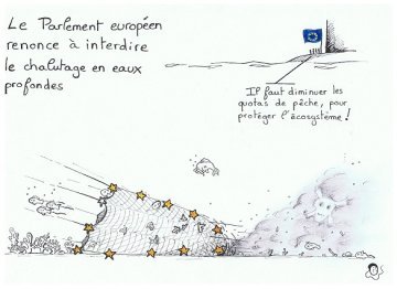 Le Parlement Européen refuse d'interdire le chalutage en eaux profondes