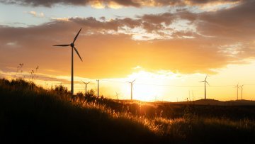 Energías renovables : ¿solución o nueva amenaza ?