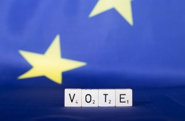 Sollen EU-Bürger in nationalen Wahlen anderer EU-Staaten wählen dürfen ?